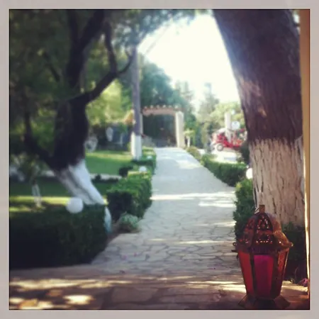 בית הארחה The Zeus Throne Resort Afión